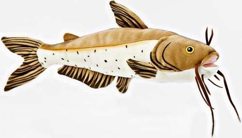 （代购）仿真斑点叉尾鮰沟鲶钳鱼channel catfish毛绒玩具公仔