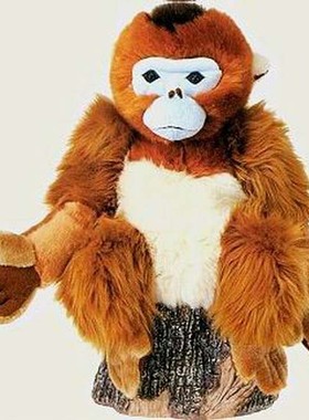 （代购）美国fiesta仿真川金丝猴snub nosed monkey毛绒玩具公仔