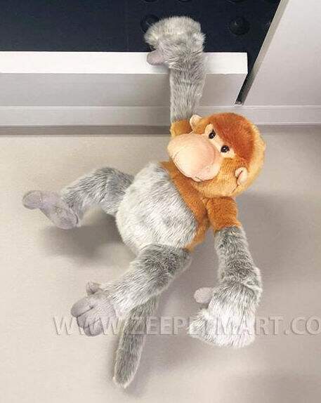 （代购）仿真婆罗洲长鼻猴proboscis monkey毛绒玩具公仔