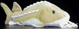 (代购)英国cabin critter仿真大号中华鲟sturgeon毛绒玩具公仔