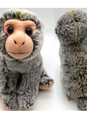 （代购）美国save our space仿真中华猕猴macaque毛绒玩具公仔