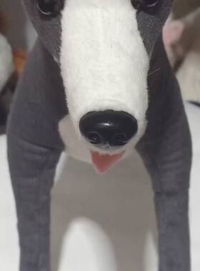 （定做）仿真灵缇犬狗狗greyhound毛绒玩具公仔