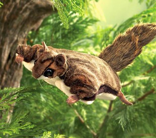 （现货包邮）folkmanis仿真蜜袋鼯鼠zoo coffee毛绒玩具公仔手偶