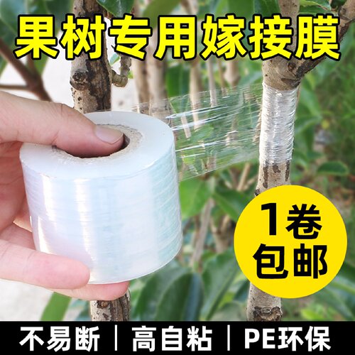 果树嫁接专用膜PE自粘缠绕膜园艺嫁接薄膜免拆式接树胶带可降解嫁