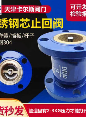 HC41X-16消音止回阀法兰不锈钢芯止逆阀逆止阀立卧式DN 50 65 80