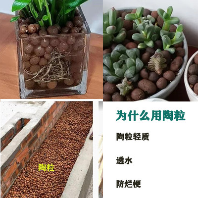 墨植园艺陶粒美观铺面