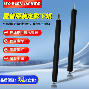 3581 B4081 3081 5081D定影下辊专用机型压力辊 6081 夏普原装