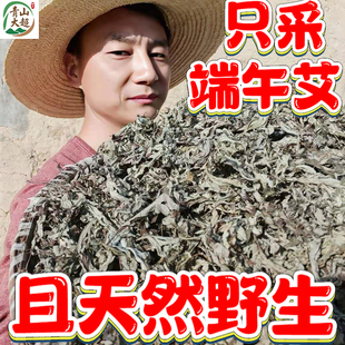 正宗端午节艾草野生艾叶泡脚包无梗干艾草叶坐月子洗澡洗头非种植