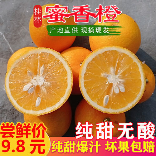 香橙水果多少钱 香橙水果价格 小麦优选