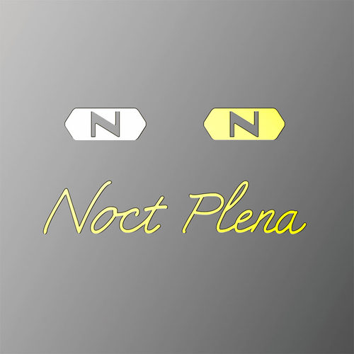 适用尼康NIKON相机noct金属字标plena镜头装饰贴N字标记贴纸
