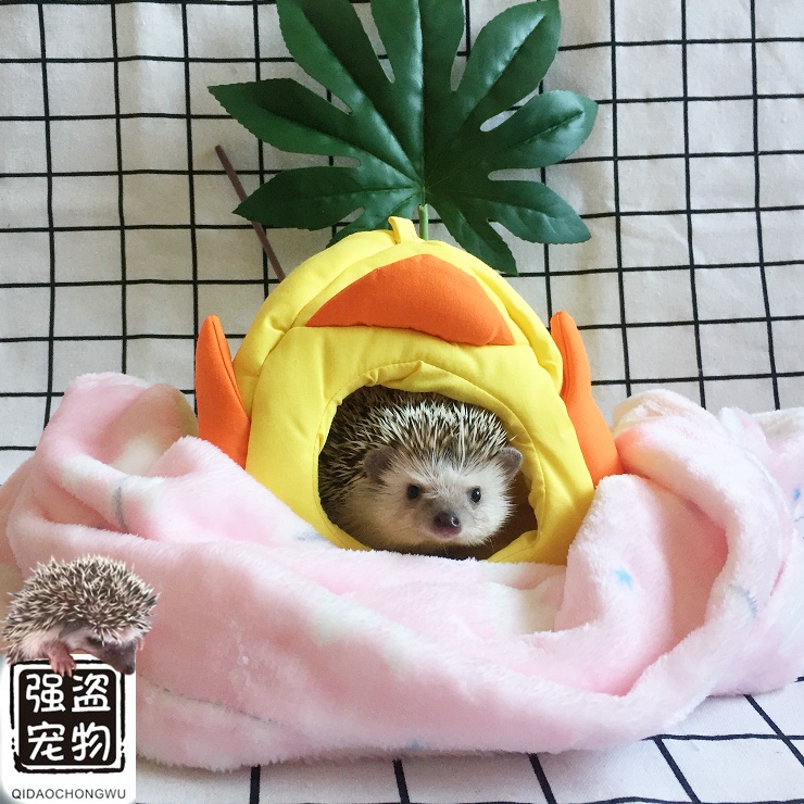 强盗宠物韩国INOUT刺猬豚鼠花枝鼠荷兰猪鸭子型棉窝棉屋保温保暖