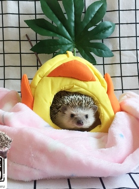 强盗宠物韩国INOUT刺猬豚鼠花枝鼠荷兰猪鸭子型棉窝棉屋保温保暖