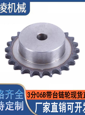 3分06B单排链条10-60齿轮配件大全电机带台链轮定做马达链轮加工