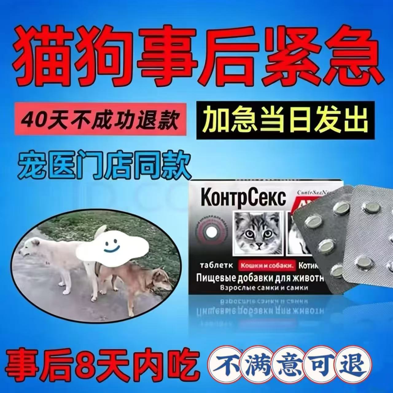 母狗事急后紧闭孕狗狗防交配孕母猫避发情期避流育浪狗猫配后片