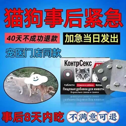 母狗事急后紧闭孕狗狗防交配孕母猫避发情期避流育浪狗猫配后片
