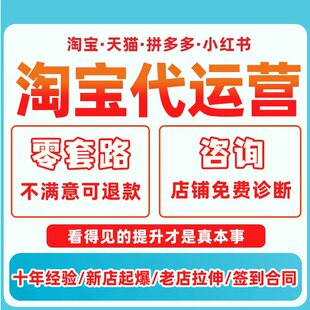 新店起步一对一运营指导淘宝天猫pdd运营思路上架基础标题权重