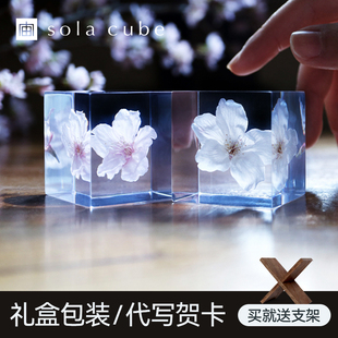 日本宙sola cube樱花植物标本桌面摆件高级感小众创意生日礼物女