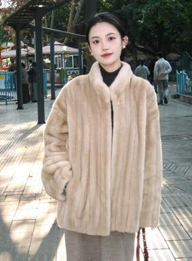 天鹅绒母貂立领仿水貂毛女皮草