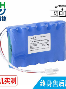 适用恩德斯豪斯 Prosonic Flow 92F 93T 93C 93P 91W 流量计电池