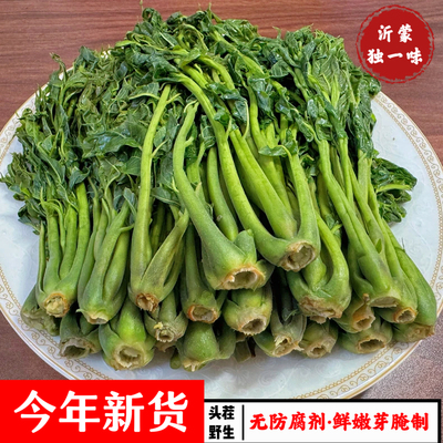 新鲜香椿芽咸菜山东特产2025新鲜腌制香椿头下饭菜酱菜头茬香椿