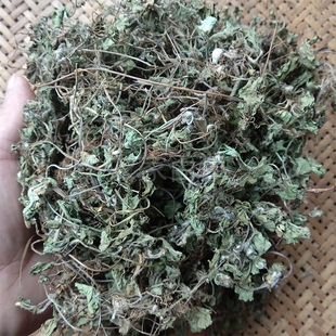 中草药新品 山货无硫优质雷公头崩大碗积雪草500g选货另售满天星