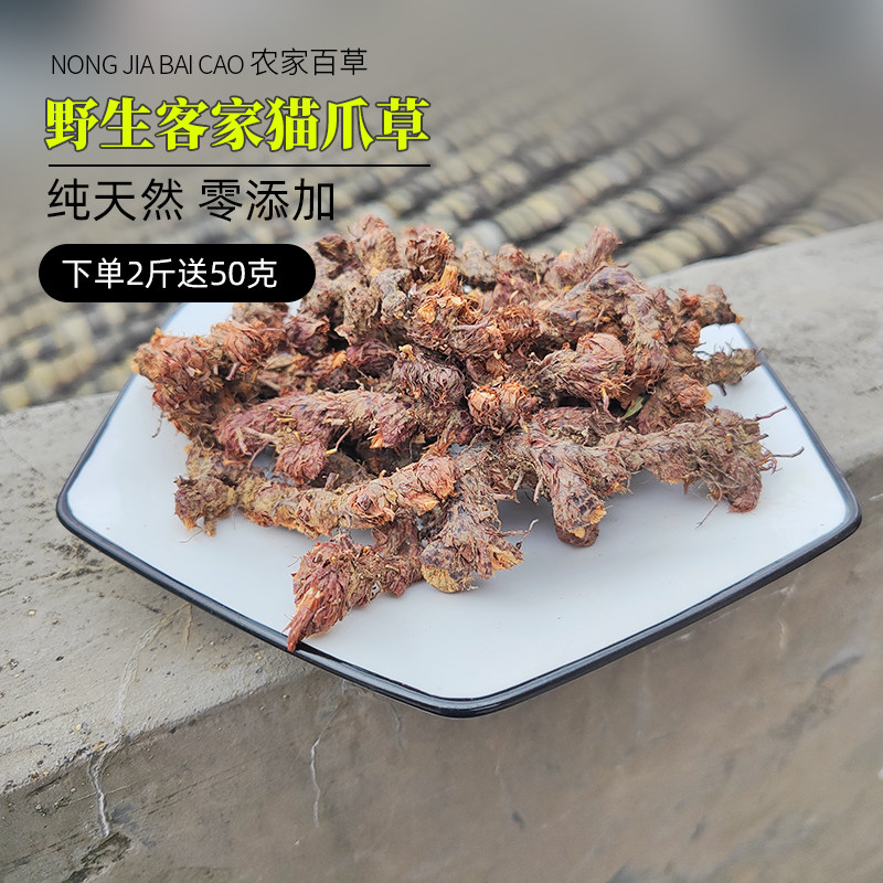 中草药梅州新鲜晒干三靓草头客家猫爪草三棱草长命草整棵500g包邮