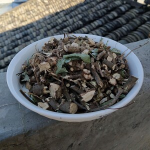 野生散血丹斑点朱砂根凉伞马胎