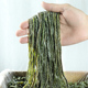 盐渍海带丝5斤荣成新鲜海菜商用整箱半干货非特级海带丝凉拌昆布