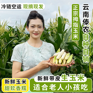云南西双版纳新鲜带皮采摘拇指生玉米甜白糯手指小嫩玉米儿童低脂