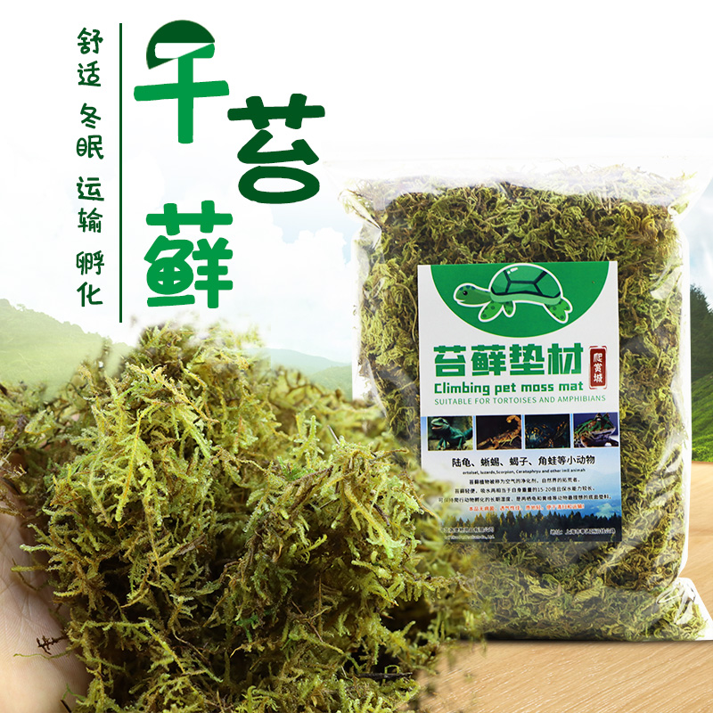 乌龟冬眠干苔藓草爬宠垫材天然水苔绿青苔巴西龟草龟取暖过冬用品 宠物/宠物食品及用品 爬宠缸/箱 原图主图