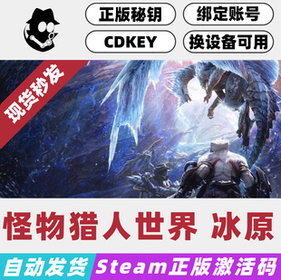 怪物猎人世界 冰原大师版 Steam国区激活码 正版CDKey 现货秒发