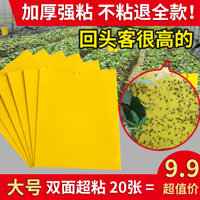 黄板双面粘虫板贴纸强力灭杀小飞虫沾果蝇诱捕神器捉蚊子苍蝇大棚怎么样,好用不?