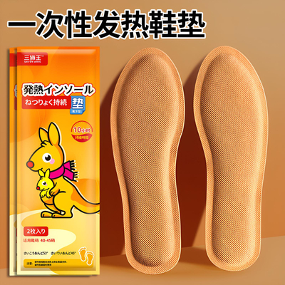 自发热鞋垫暖脚神器免充电可行走