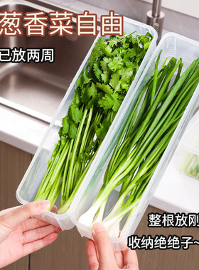 小葱香菜保鲜盒食品级冰箱专用