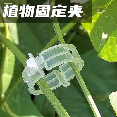 藤蔓固定夹植物卡扣蔬菜绑黄瓜神器八字扣爬藤园艺绿植绑枝固定器