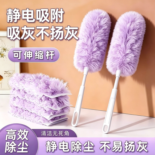 除尘掸