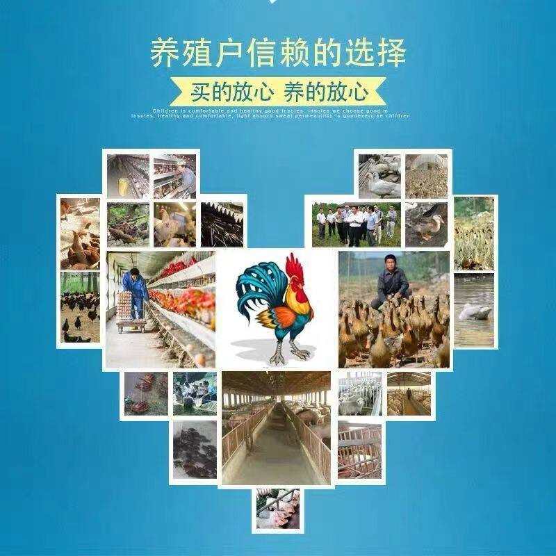 兽用饲料添加剂促生长磺胺间甲氧嘧啶钠鸡禽用猪牛羊用水产鱼用散