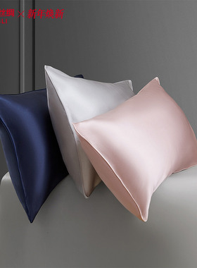万事利桑蚕丝枕头套亲肤纯色真丝枕套一对两个AB面48*74cm极素