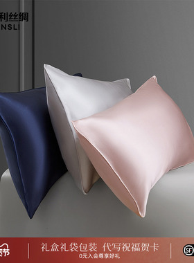 万事利桑蚕丝枕头套亲肤纯色真丝枕套一对两个AB面48*74cm极素