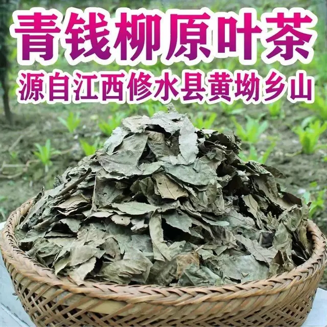 江西修水野生原叶青钱柳养生茶金钱柳小糖人茶