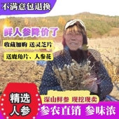 包邮 现挖鲜人参 长白山脉人参泡酒人参新鲜人参带土可做保鲜参