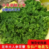 煲汤人参花 包邮 新晒东北长白山脉人参花 大花蕾