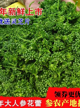 人参花长白山地区包邮