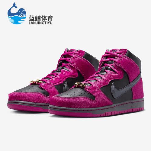 Nike/耐克正品新款Dunk SB说唱乐队联名男女运动休闲鞋DX4356-600