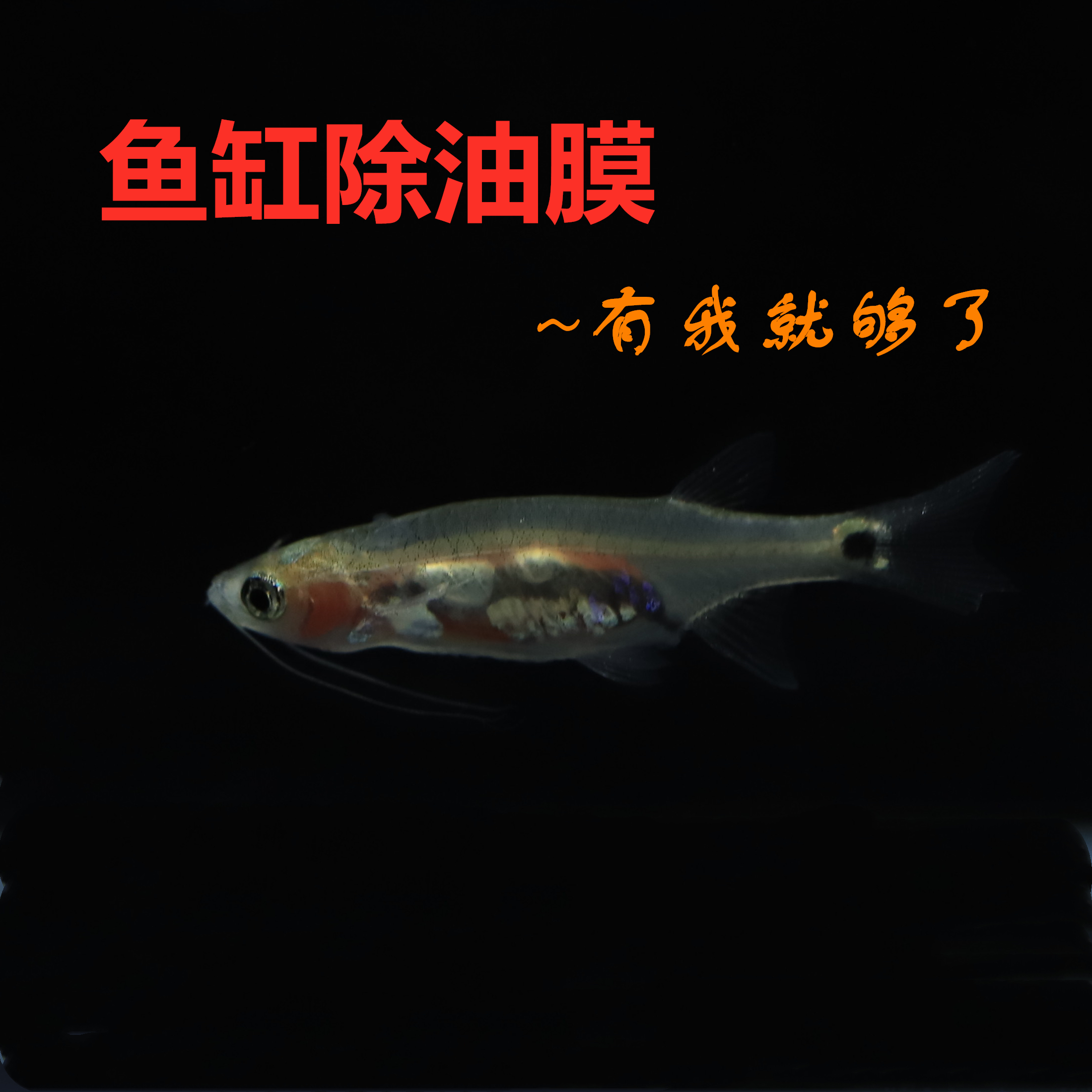 水面油膜价格 水面油膜图片 星期三 水面油膜价格 水面油膜图片 星期三