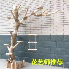 精品猫爬架枯树干实木树枝树杈造型树服装店橱窗装饰假树造景套装