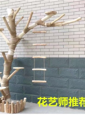 精品猫爬架枯树干实木树枝树杈造型树服装店橱窗装饰假树造景套装