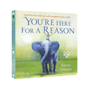 英文原版 You're Here for a Reason  你生来有用 每个人都很重要 品格塑造价值观培绘本养 2-6岁儿童宝宝启蒙思想培养纸板书
