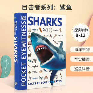 英文原版 Pocket Eyewitness Sharks DK目击者系列：鲨鱼 了解各种类型的鲨鱼以及它们的生活方式 青少年儿童科普百科读物