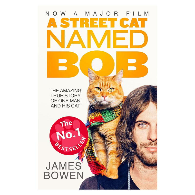 英文原版 A Street Cat Named Bob: And How He Saved My Life 一只名叫鲍勃的街头流浪猫 人与动物之间爱的力量平装小说 14岁+